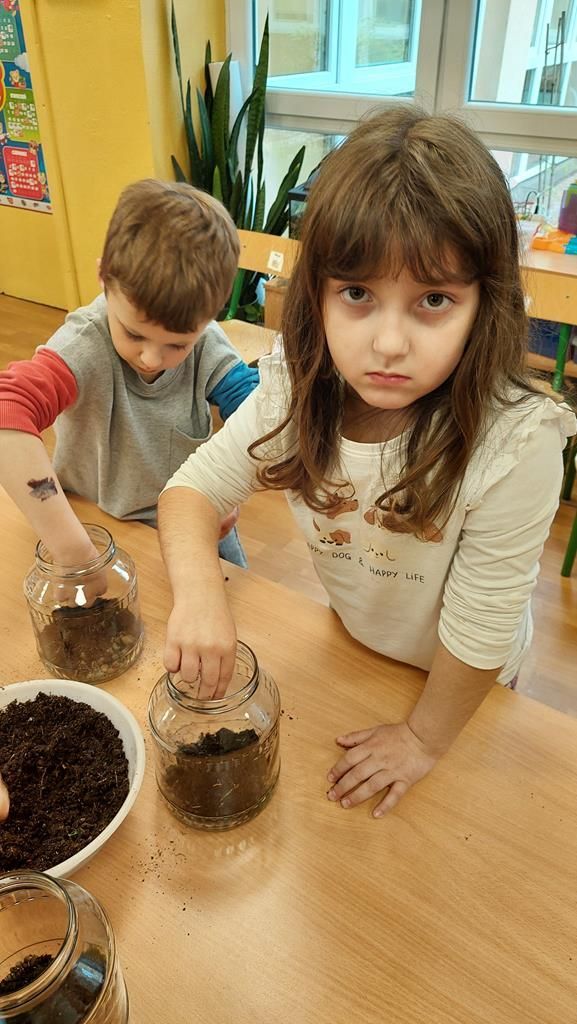 20250515_121810 (Copy)