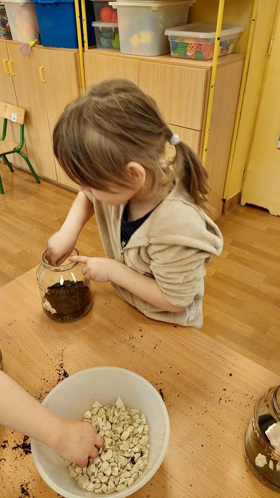 20250515_122223 (Copy)