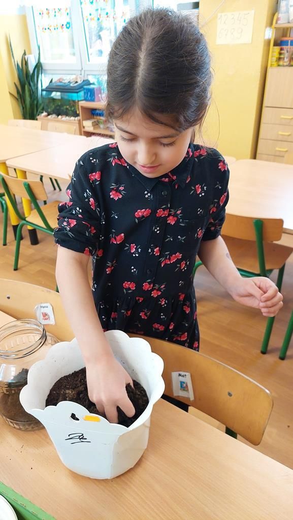 20250521_142843 (Copy)