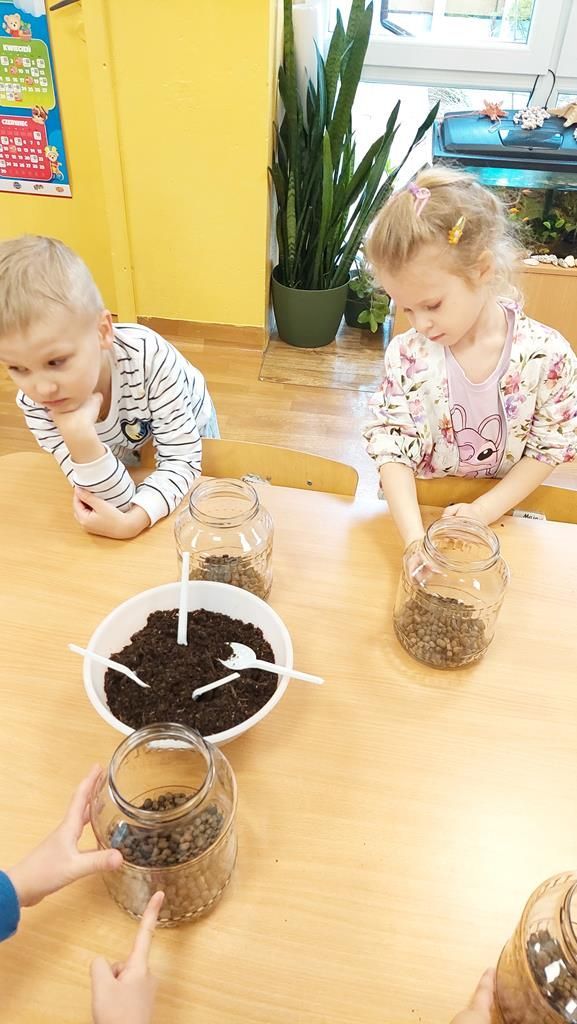 20250515_112458 (Copy)