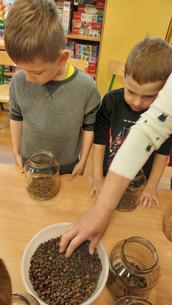 20250515_121602 (Copy)