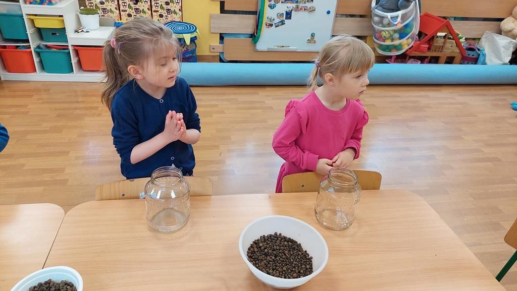 20250515_112111 (Copy)