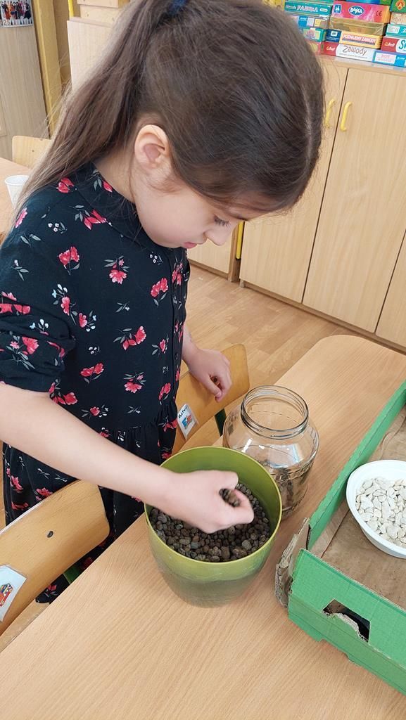 20250521_142728 (Copy)