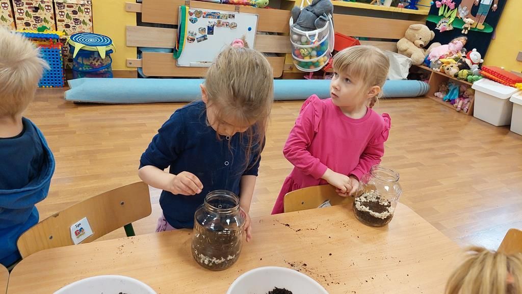 20250515_113939 (Copy)