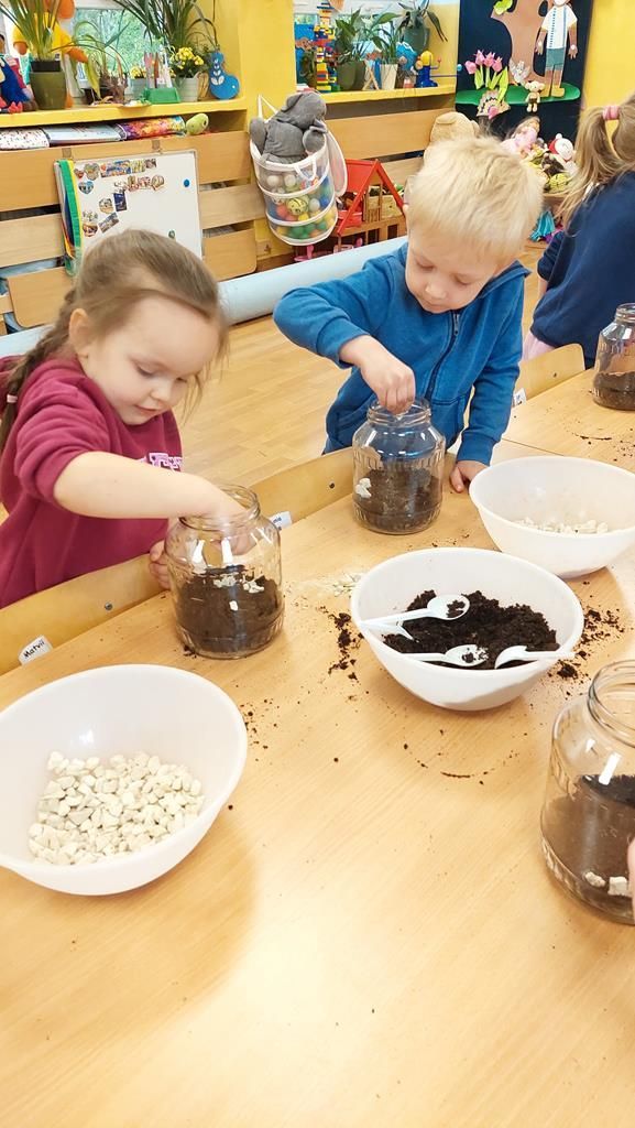 20250515_113037 (Copy)