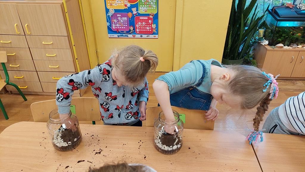 20250515_113912 (Copy)