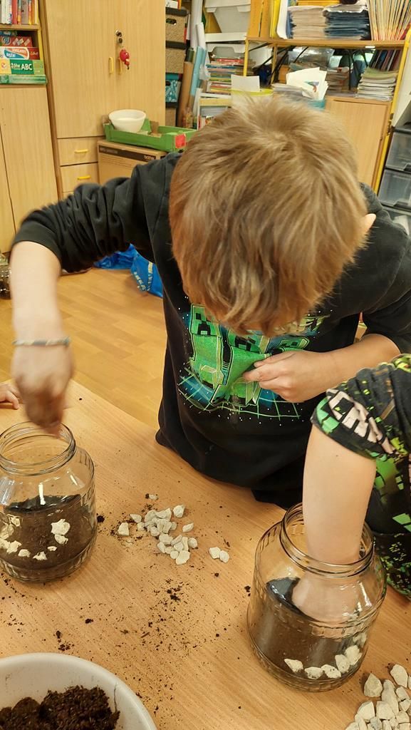 20250515_122312 (Copy)