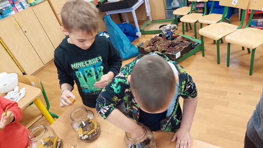 20250515_123916 (Copy)