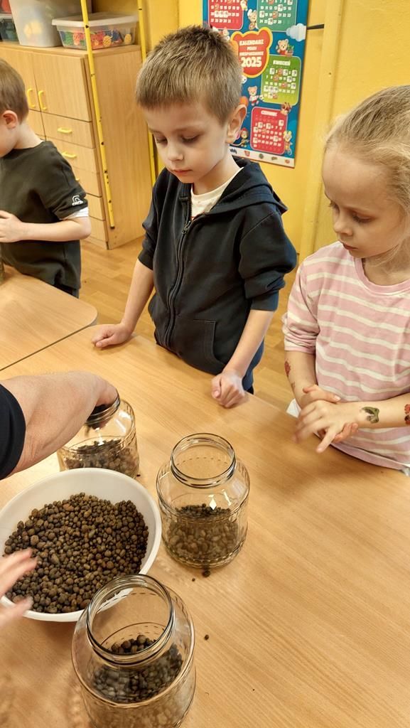 20250515_121617 (Copy)