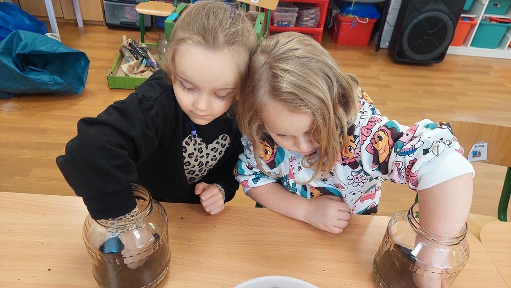 20250515_094918 (Copy)