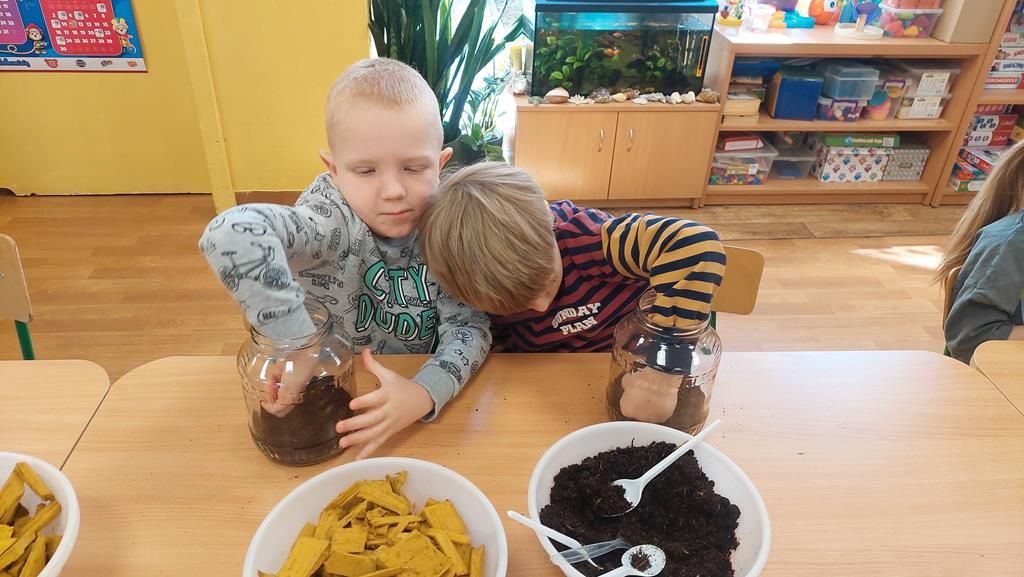 20250515_094838 (Copy)