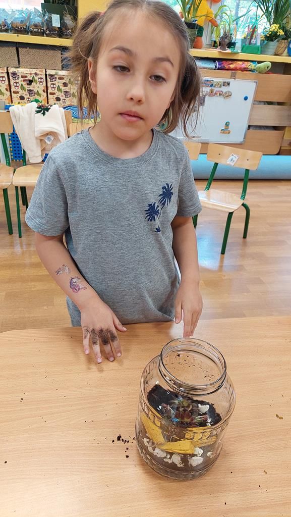 20250515_123757 (Copy)