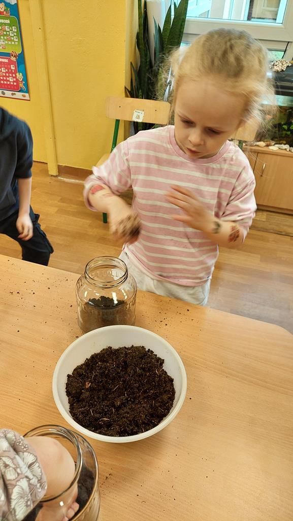 20250515_121926 (Copy)