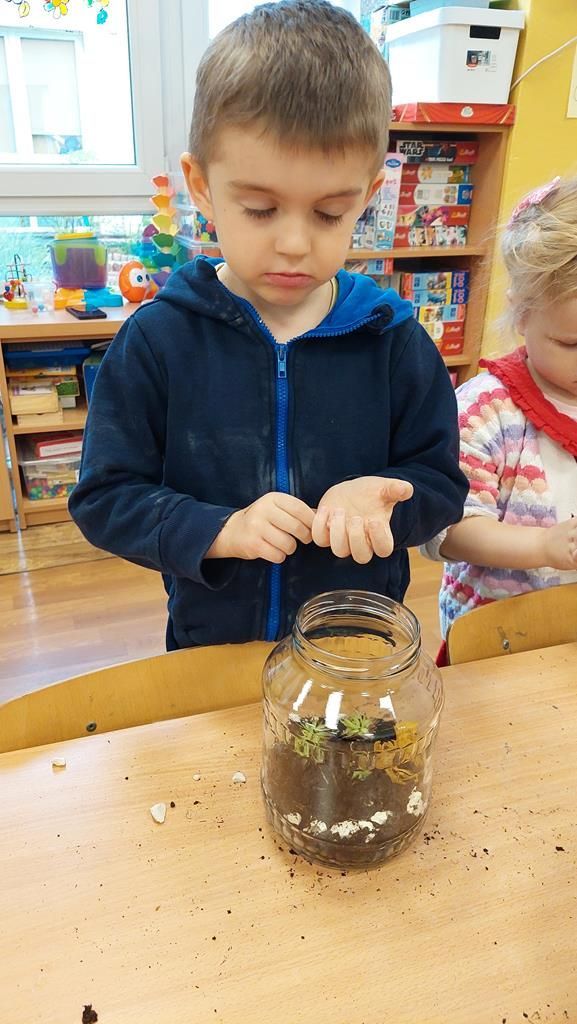 20250515_114451 (Copy)