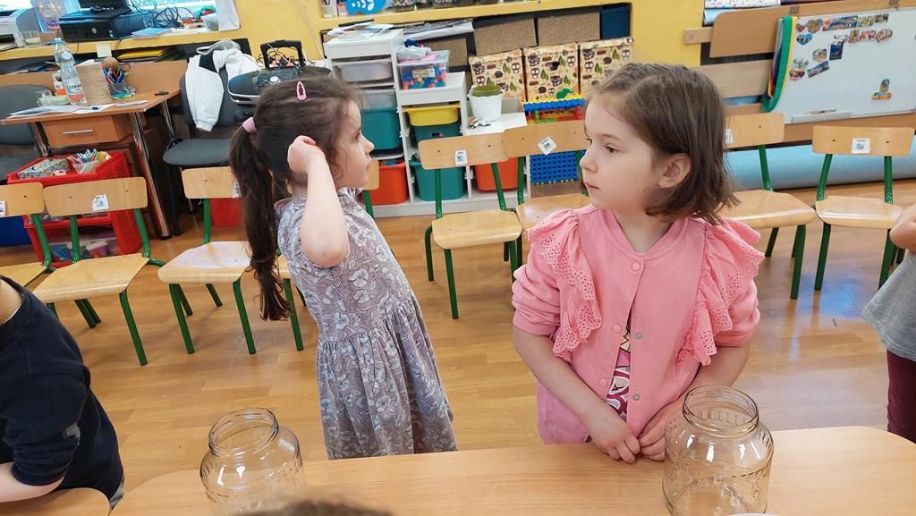 20250515_121259 (Copy)