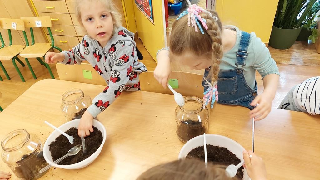 20250515_112636 (Copy)