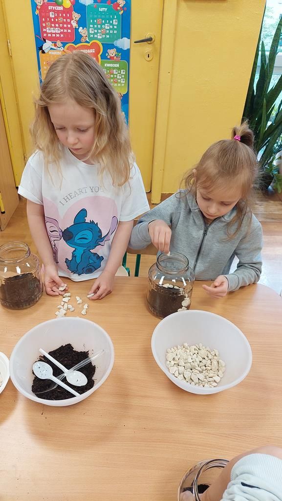 20250515_095253 (Copy)