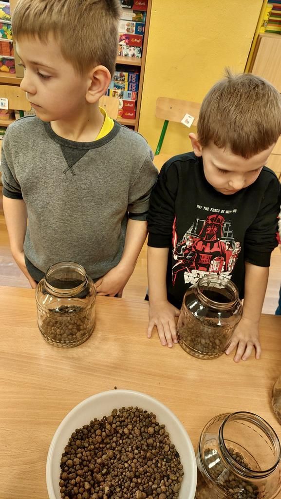 20250515_121605 (Copy)