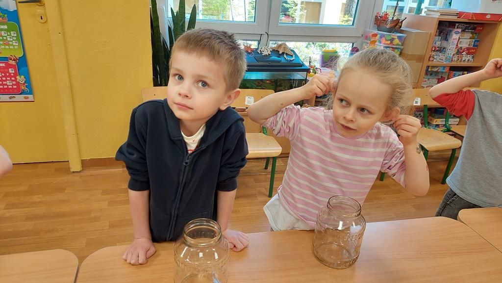 20250515_121229 (Copy)