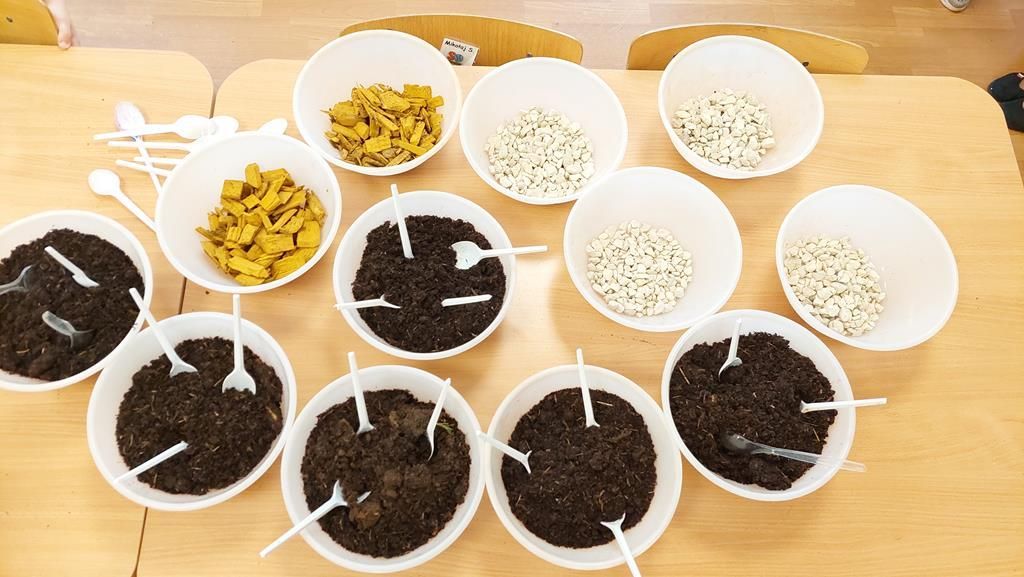 20250515_112136 (Copy)