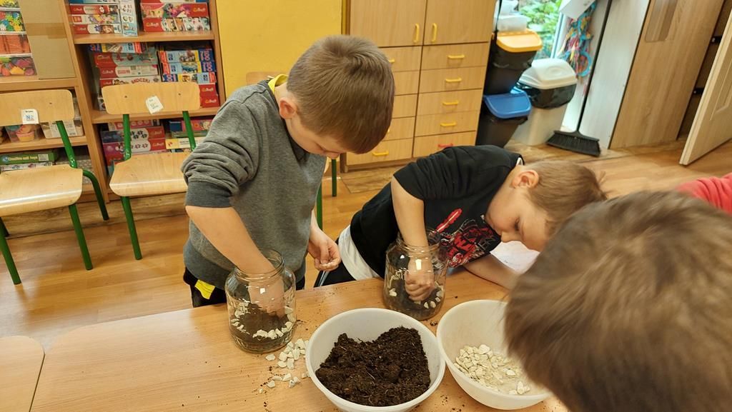 20250515_122456 (Copy)