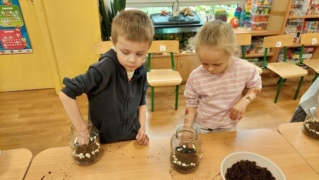 20250515_122504 (Copy)