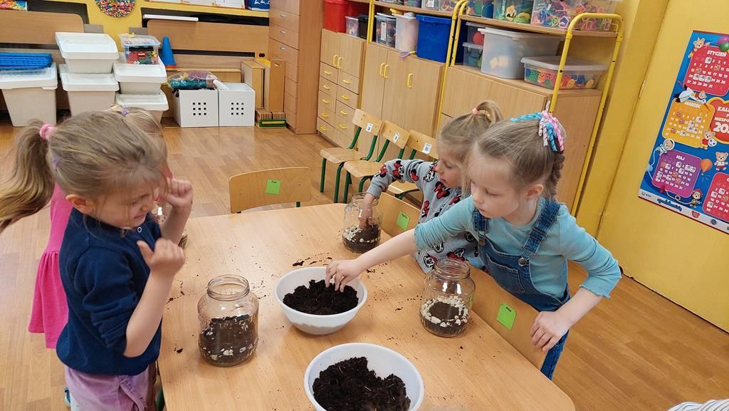 20250515_113908 (Copy)