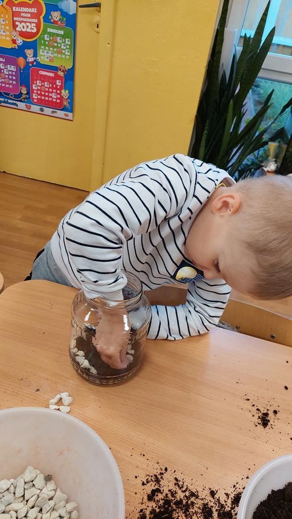 20250515_113459 (Copy)