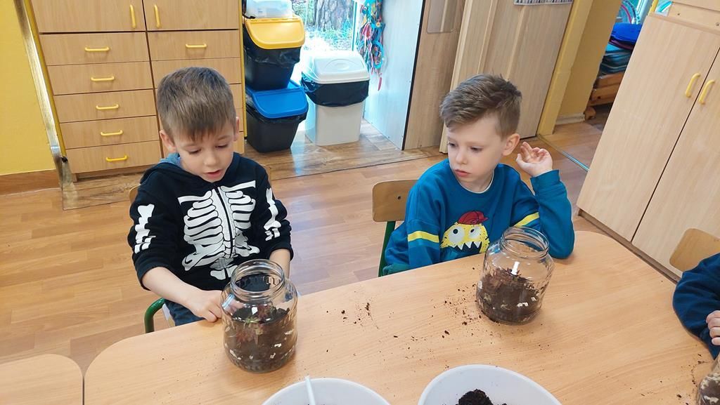 20250515_101647 (Copy)