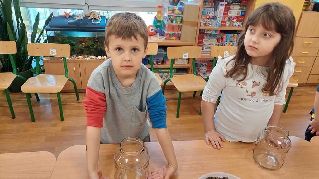 20250515_121234 (Copy)