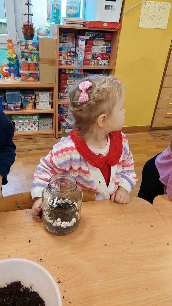 20250515_114050 (Copy)