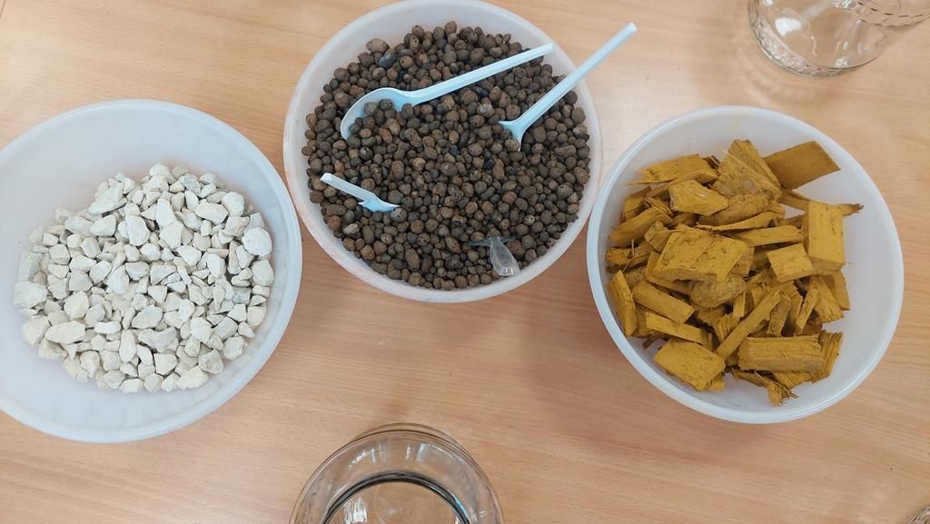 20250515_093517 (Copy)