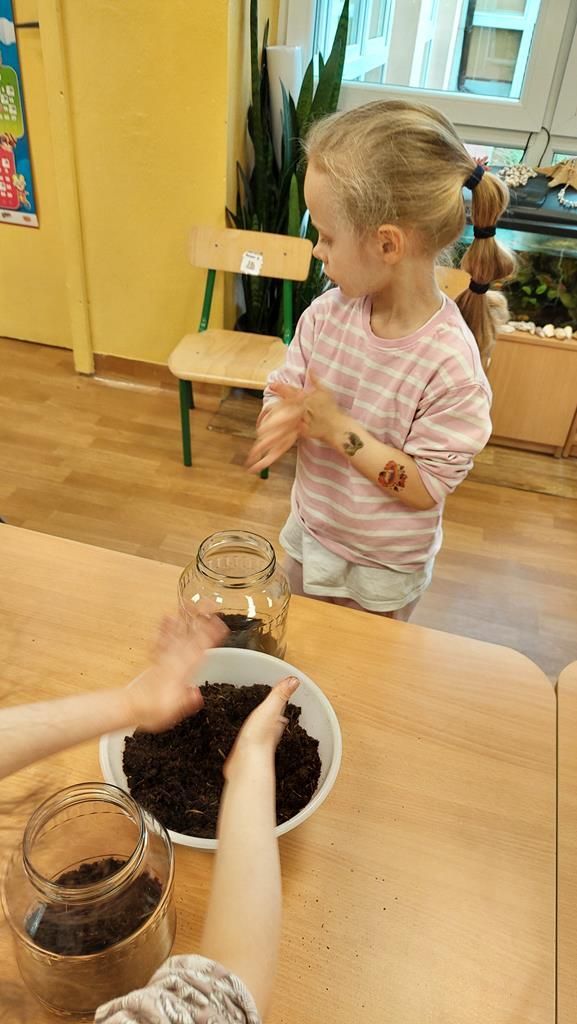 20250515_121818 (Copy)