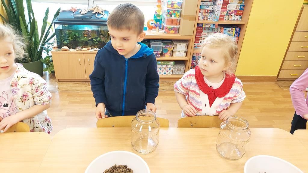 20250515_112127 (Copy)