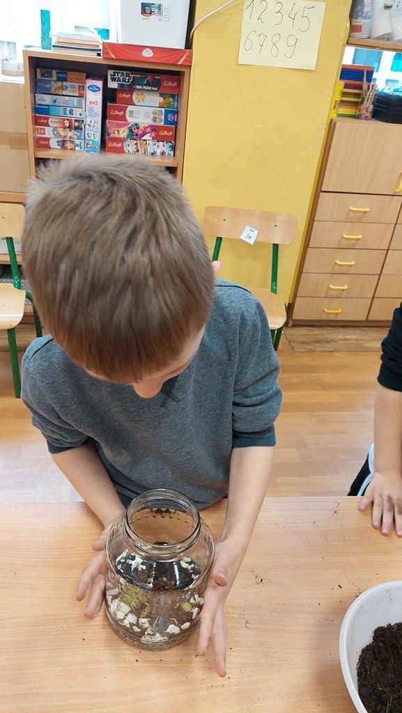 20250515_123659 (Copy)