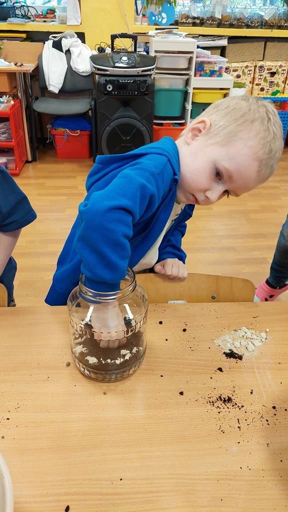 20250515_114012 (Copy)