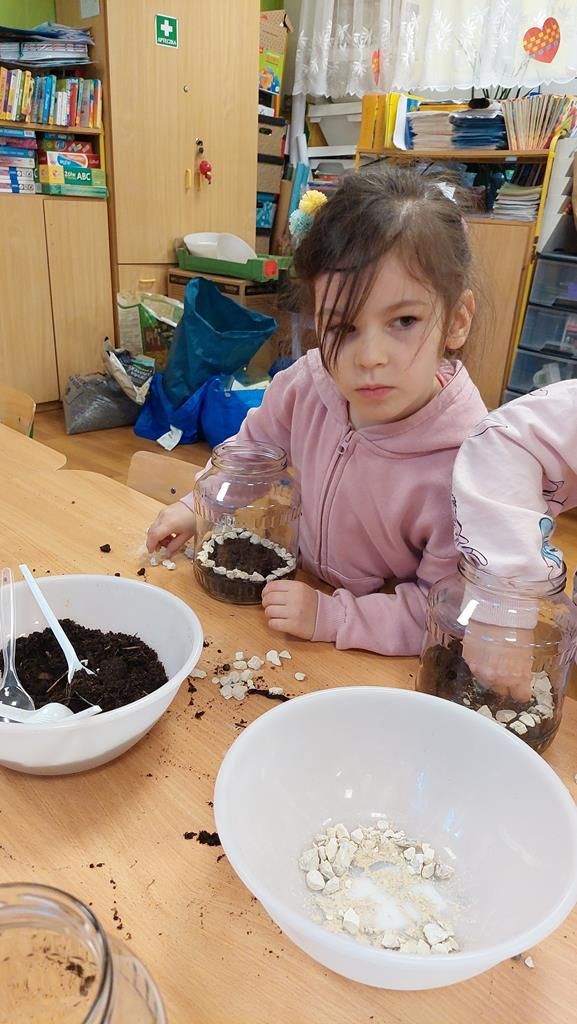 20250515_113535 (Copy)