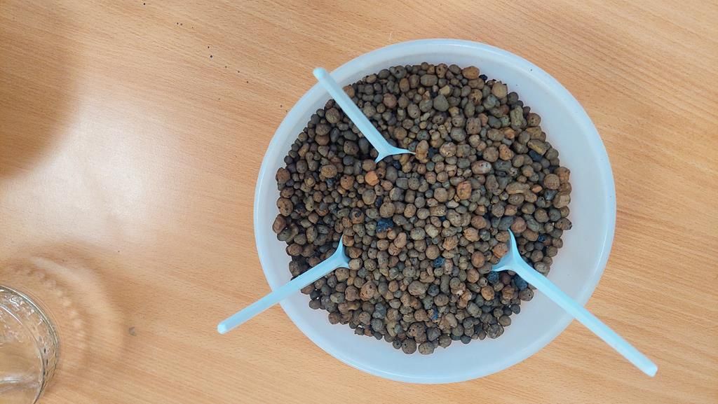 20250515_093501 (Copy)