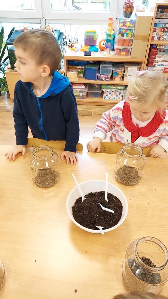 20250515_112454 (Copy)