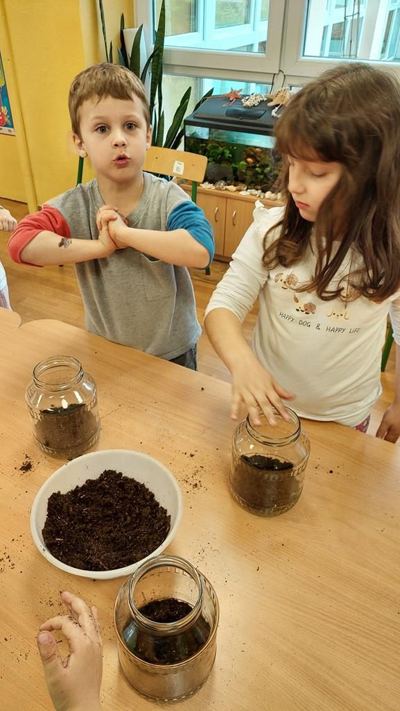 20250515_121916 (Copy)