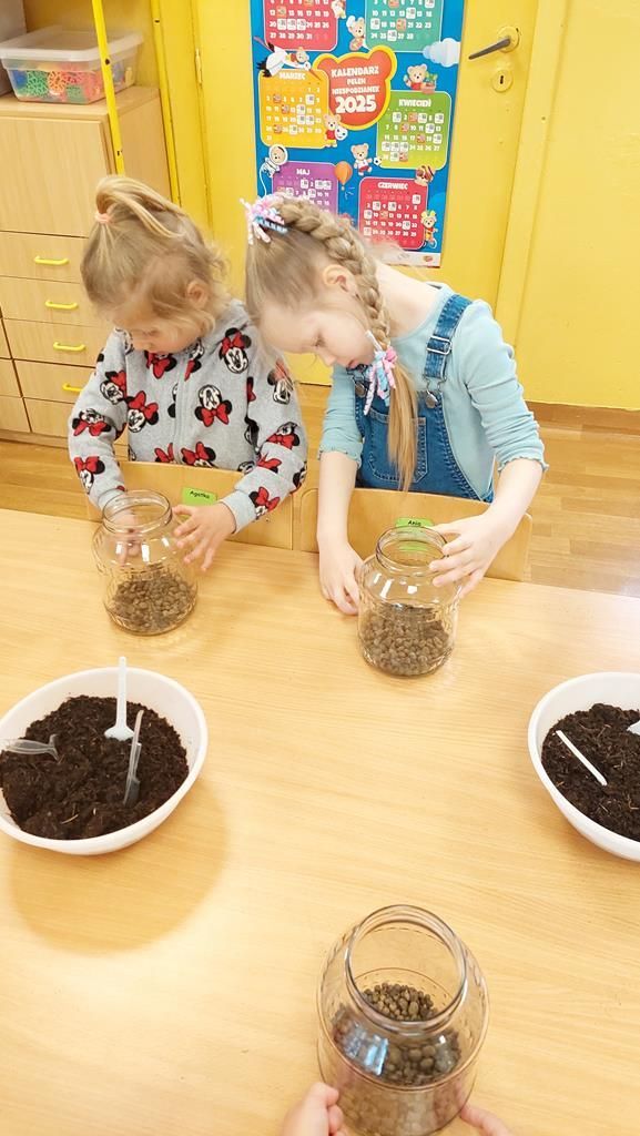 20250515_112500 (Copy)