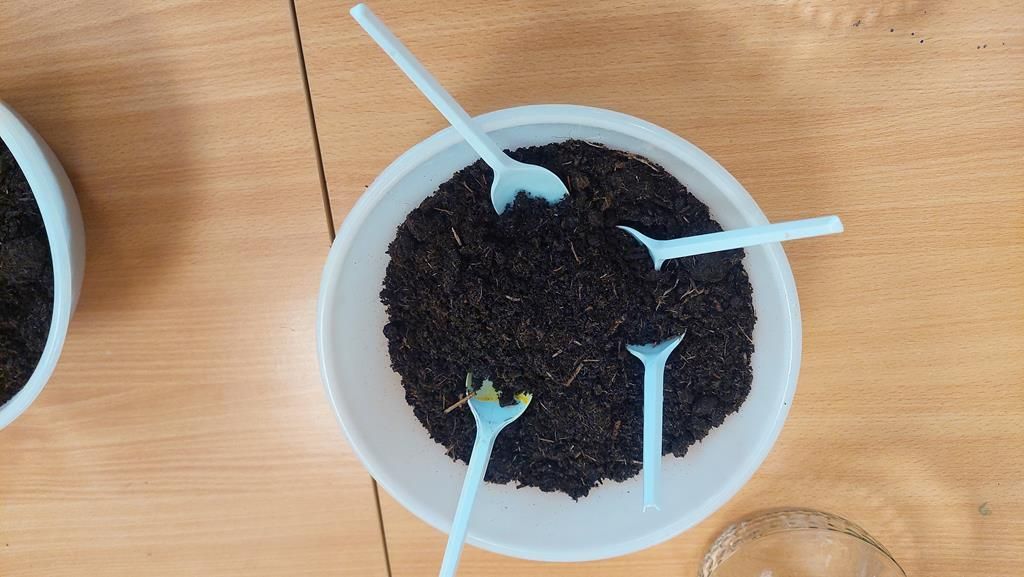 20250515_093503 (Copy)