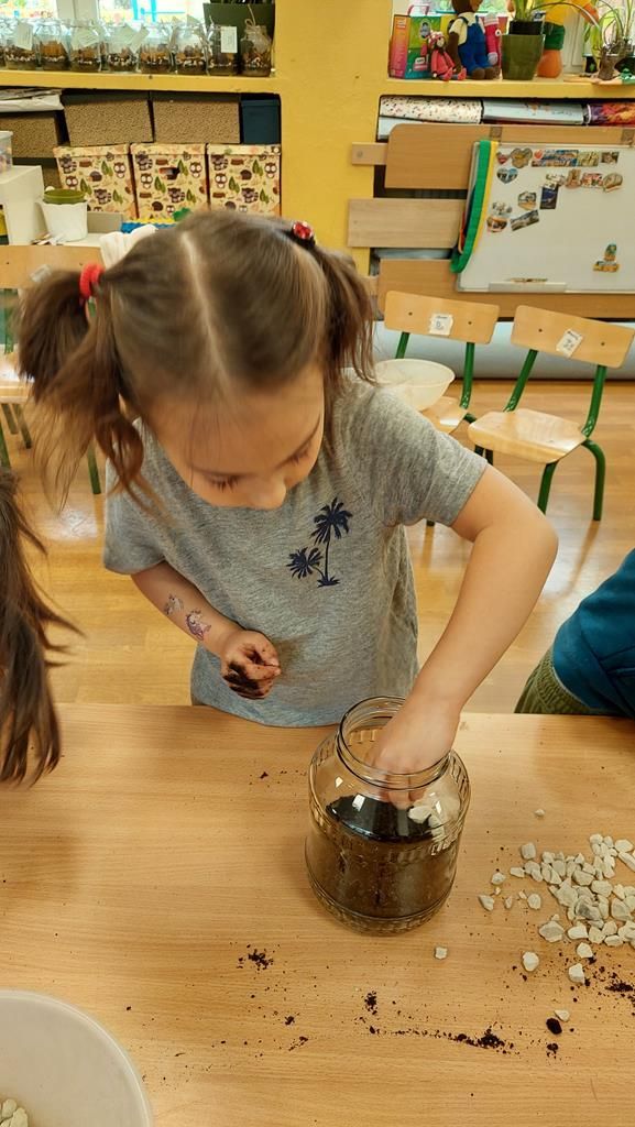 20250515_122247 (Copy)