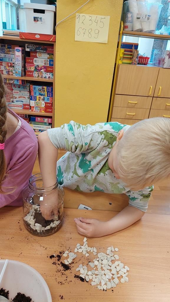 20250515_113442 (Copy)