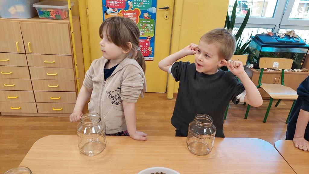 20250515_121226 (Copy)