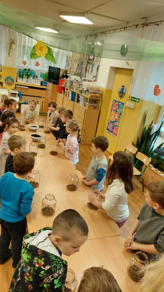 20250515_121655 (Copy)