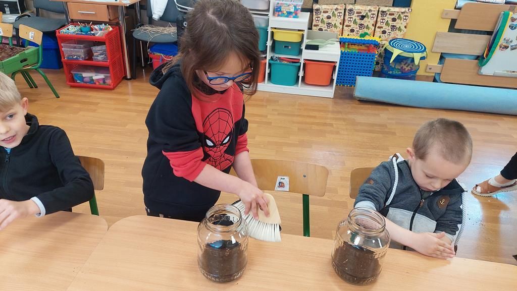 20250515_094945 (Copy)