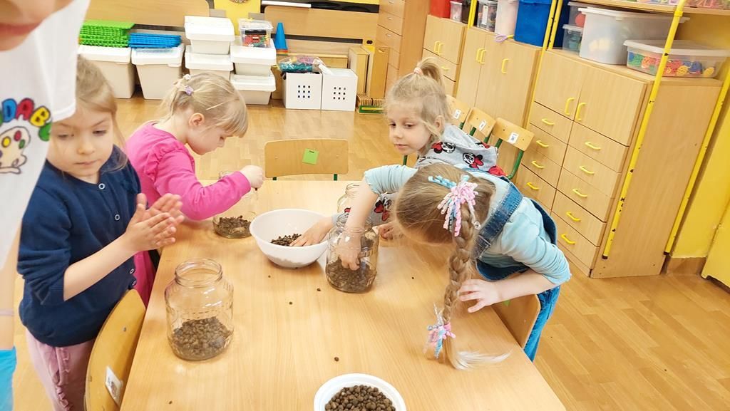 20250515_112353 (Copy)