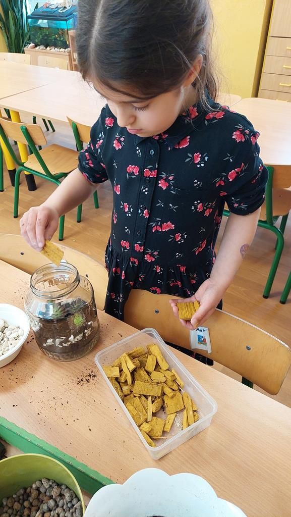 20250521_143130 (Copy)