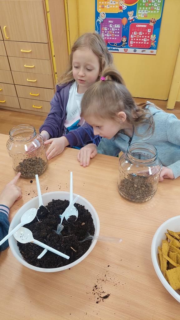 20250515_094231 (Copy)